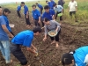 Ảnh: ĐVTN ra quân trồng cây khoai tây tại cánh đồng thôn Tuy Lai – xã Minh Khai