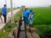 BCH xã Hồng An phòng trừ sâu bệnh bảo vệ lúa mùa năm 2014